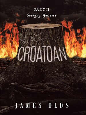 cover image of Seeking Justice